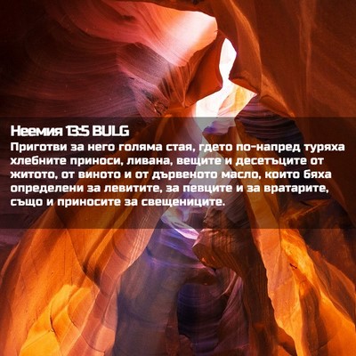 Picture 02 - Неемия 13:5 BULG - Приготви за него голяма - Bible Verse Picture