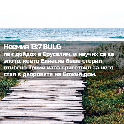 Picture 02 - Неемия 13:7 BULG - пак дойдох в Ерусалим, и - Bible Verse Picture