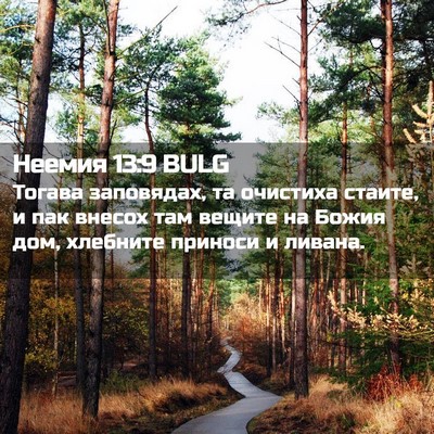 Picture 02 - Неемия 13:9 BULG - Тогава заповядах, та - Bible Verse Picture