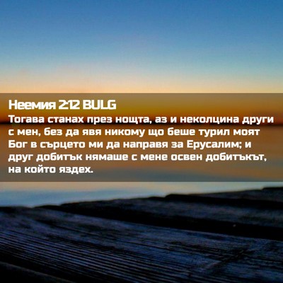 Picture 02 - Неемия 2:12 BULG - Тогава станах през нощта, - Bible Verse Picture