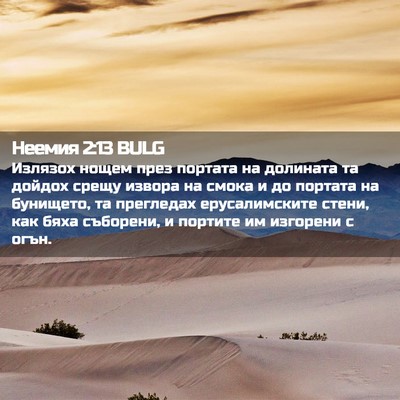 Picture 02 - Неемия 2:13 BULG - Излязох нощем през портата - Bible Verse Picture