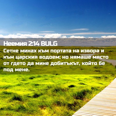 Picture 02 - Неемия 2:14 BULG - Сетне минах към портата на - Bible Verse Picture