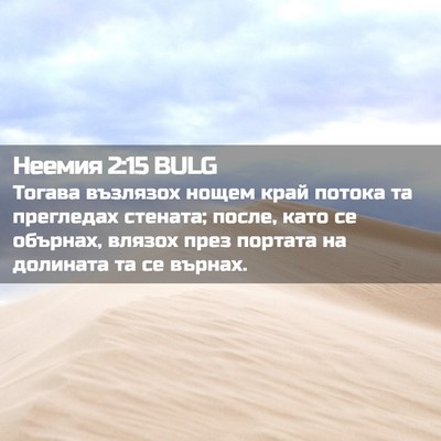 Picture 02 - Неемия 2:15 BULG - Тогава възлязох нощем край - Bible Verse Picture