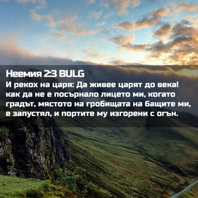 Picture 02 - Неемия 2:3 BULG - И рекох на царя: Да живее - Bible Verse Picture