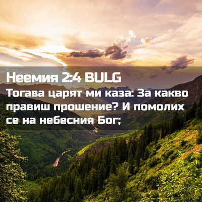 Picture 02 - Неемия 2:4 BULG - Тогава царят ми каза: За - Bible Verse Picture