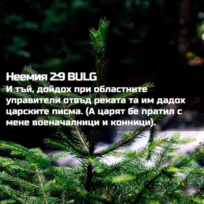 Picture 02 - Неемия 2:9 BULG - И тъй, дойдох при - Bible Verse Picture