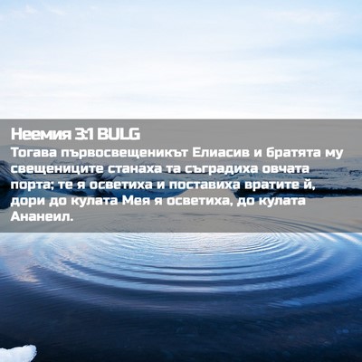 Picture 02 - Неемия 3:1 BULG - Тогава първосвещеникът - Bible Verse Picture