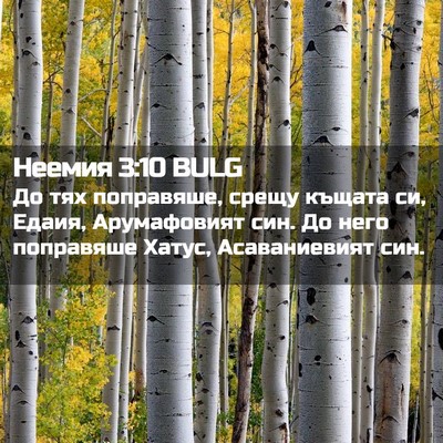 Picture 02 - Неемия 3:10 BULG - До тях поправяше, срещу - Bible Verse Picture