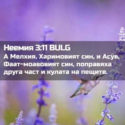 Picture 02 - Неемия 3:11 BULG - А Мелхия, Харимовият син, и - Bible Verse Picture