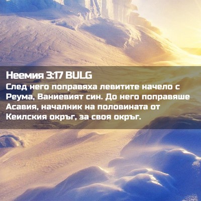 Picture 02 - Неемия 3:17 BULG - След него поправяха - Bible Verse Picture
