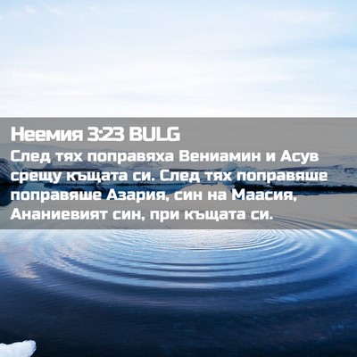 Picture 02 - Неемия 3:23 BULG - След тях поправяха - Bible Verse Picture