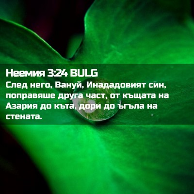 Picture 02 - Неемия 3:24 BULG - След него, Вануй, - Bible Verse Picture
