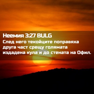 Picture 02 - Неемия 3:27 BULG - След него текойците - Bible Verse Picture