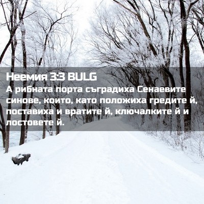 Picture 02 - Неемия 3:3 BULG - А рибната порта съградиха - Bible Verse Picture