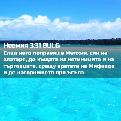 Picture 02 - Неемия 3:31 BULG - След него поправяше - Bible Verse Picture