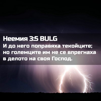 Picture 02 - Неемия 3:5 BULG - И до него поправяха - Bible Verse Picture