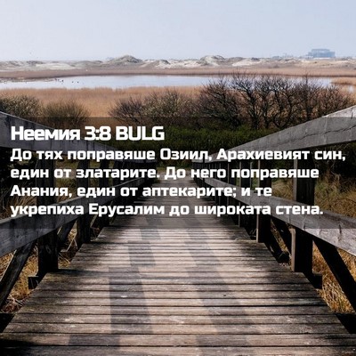 Picture 02 - Неемия 3:8 BULG - До тях поправяше Озиил, - Bible Verse Picture