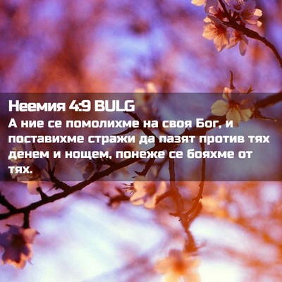 Picture 02 - Неемия 4:9 BULG - А ние се помолихме на своя - Bible Verse Picture