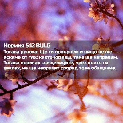 Picture 02 - Неемия 5:12 BULG - Тогава рекоха: Ще ги - Bible Verse Picture