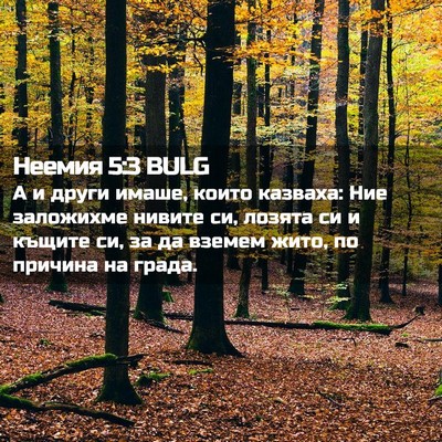 Picture 02 - Неемия 5:3 BULG - А и други имаше, които - Bible Verse Picture