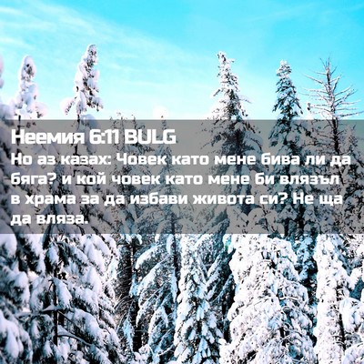 Picture 02 - Неемия 6:11 BULG - Но аз казах: Човек като - Bible Verse Picture