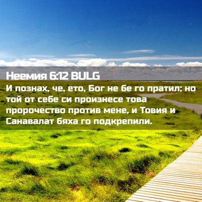 Picture 02 - Неемия 6:12 BULG - И познах, че, ето, Бог не бе - Bible Verse Picture