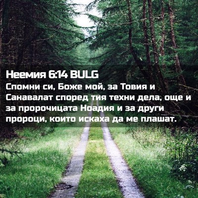 Picture 02 - Неемия 6:14 BULG - Спомни си, Боже мой, за - Bible Verse Picture