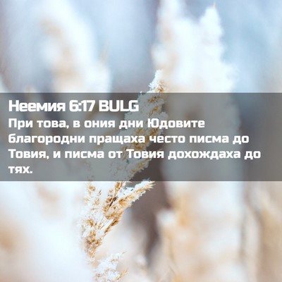 Picture 02 - Неемия 6:17 BULG - При това, в ония дни - Bible Verse Picture