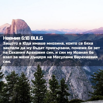Picture 02 - Неемия 6:18 BULG - Защото в Юда имаше мнозина, - Bible Verse Picture