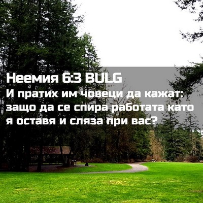 Picture 02 - Неемия 6:3 BULG - И пратих им човеци да - Bible Verse Picture