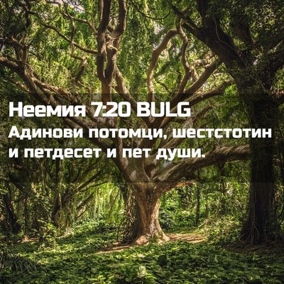 Picture 02 - Неемия 7:20 BULG - Адинови потомци, - Bible Verse Picture