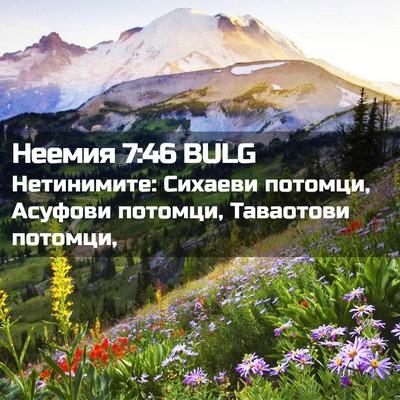 Picture 02 - Неемия 7:46 BULG - Нетинимите: Сихаеви - Bible Verse Picture