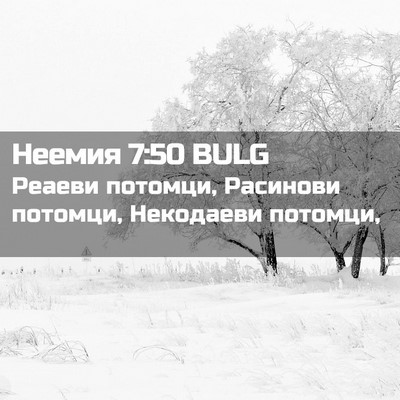 Picture 02 - Неемия 7:50 BULG - Реаеви потомци, Расинови - Bible Verse Picture