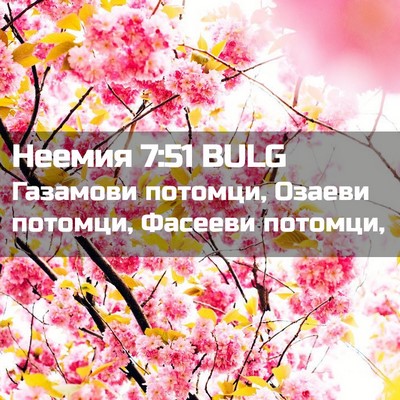 Picture 02 - Неемия 7:51 BULG - Газамови потомци, Озаеви - Bible Verse Picture