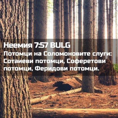 Picture 02 - Неемия 7:57 BULG - Потомци на Соломоновите - Bible Verse Picture