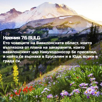 Picture 02 - Неемия 7:6 BULG - Ето човеците на - Bible Verse Picture