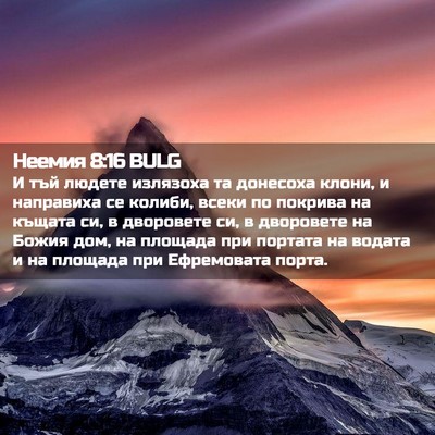Picture 02 - Неемия 8:16 BULG - И тъй людете излязоха та - Bible Verse Picture