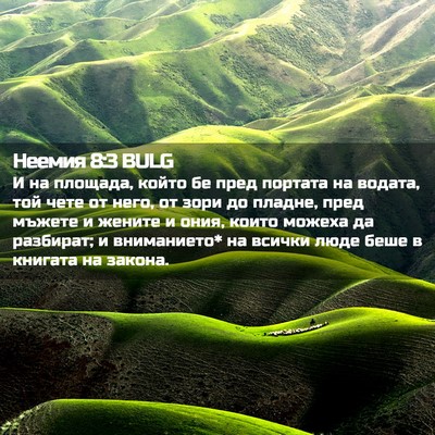 Picture 02 - Неемия 8:3 BULG - И на площада, който бе пред - Bible Verse Picture
