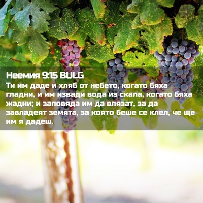 Picture 02 - Неемия 9:15 BULG - Ти им даде и хляб от небето, - Bible Verse Picture