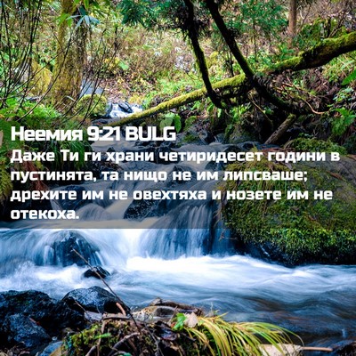 Picture 02 - Неемия 9:21 BULG - Даже Ти ги храни - Bible Verse Picture