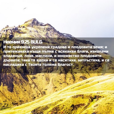 Picture 02 - Неемия 9:25 BULG - И те превзеха укрепени - Bible Verse Picture