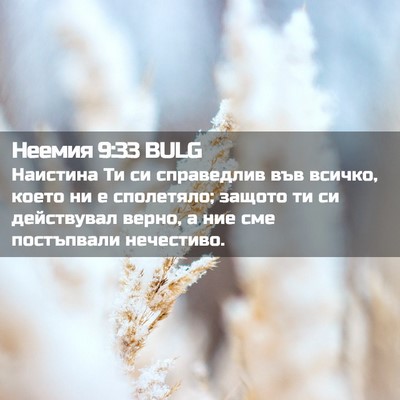 Picture 02 - Неемия 9:33 BULG - Наистина Ти си справедлив - Bible Verse Picture