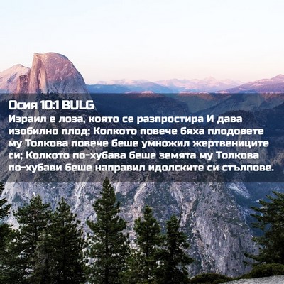 Picture 02 - Осия 10:1 BULG - Израил е лоза, която се - Bible Verse Picture