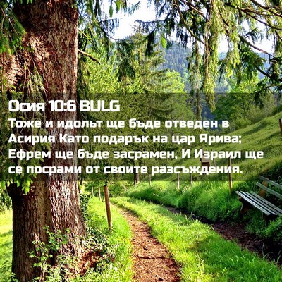 Picture 02 - Осия 10:6 BULG - Тоже и идольт ще бъде - Bible Verse Picture