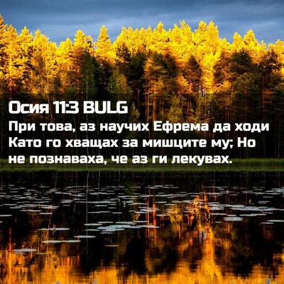Picture 02 - Осия 11:3 BULG - При това, аз научих Ефрема - Bible Verse Picture