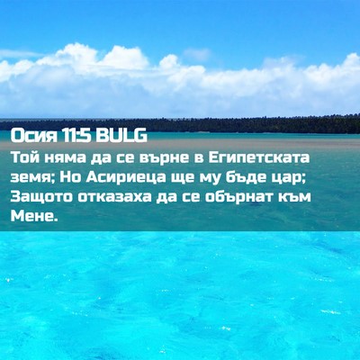 Picture 02 - Осия 11:5 BULG - Той няма да се върне в - Bible Verse Picture