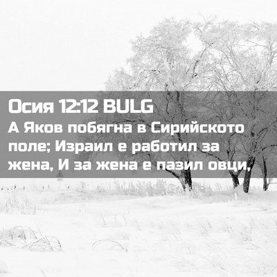 Picture 02 - Осия 12:12 BULG - А Яков побягна в - Bible Verse Picture