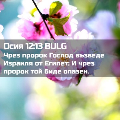 Picture 02 - Осия 12:13 BULG - Чрез пророк Господ възведе - Bible Verse Picture