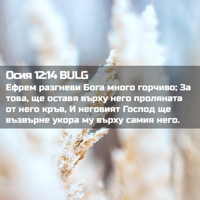 Picture 02 - Осия 12:14 BULG - Ефрем разгневи Бога много - Bible Verse Picture
