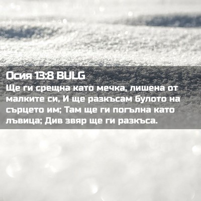 Picture 02 - Осия 13:8 BULG - Ще ги срещна като мечка, - Bible Verse Picture